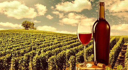 刷新拍賣(mài)紀(jì)錄的1945年羅曼尼·康帝是一款怎樣的酒？